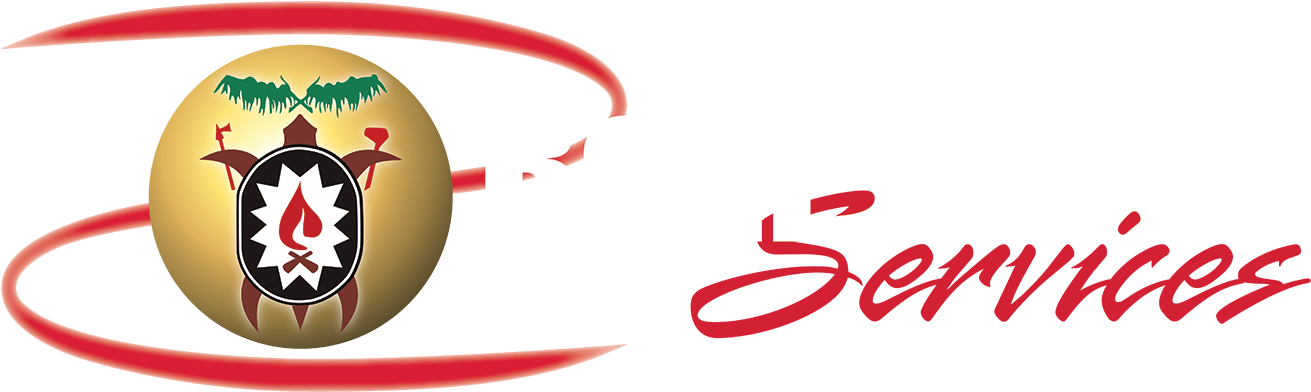 Information Technology - Wyandotte Nation Casino (1350x431)