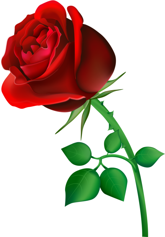 Natali На - Happy Rose Day Shayari (596x800)