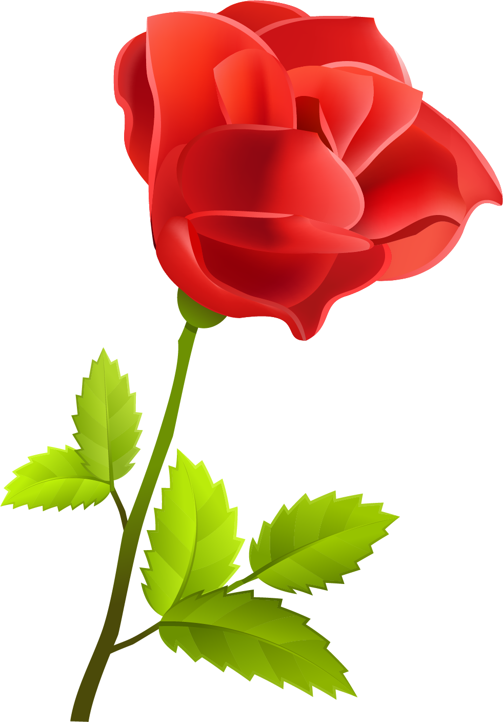 Natali На - Rosa Vector (981x1407)