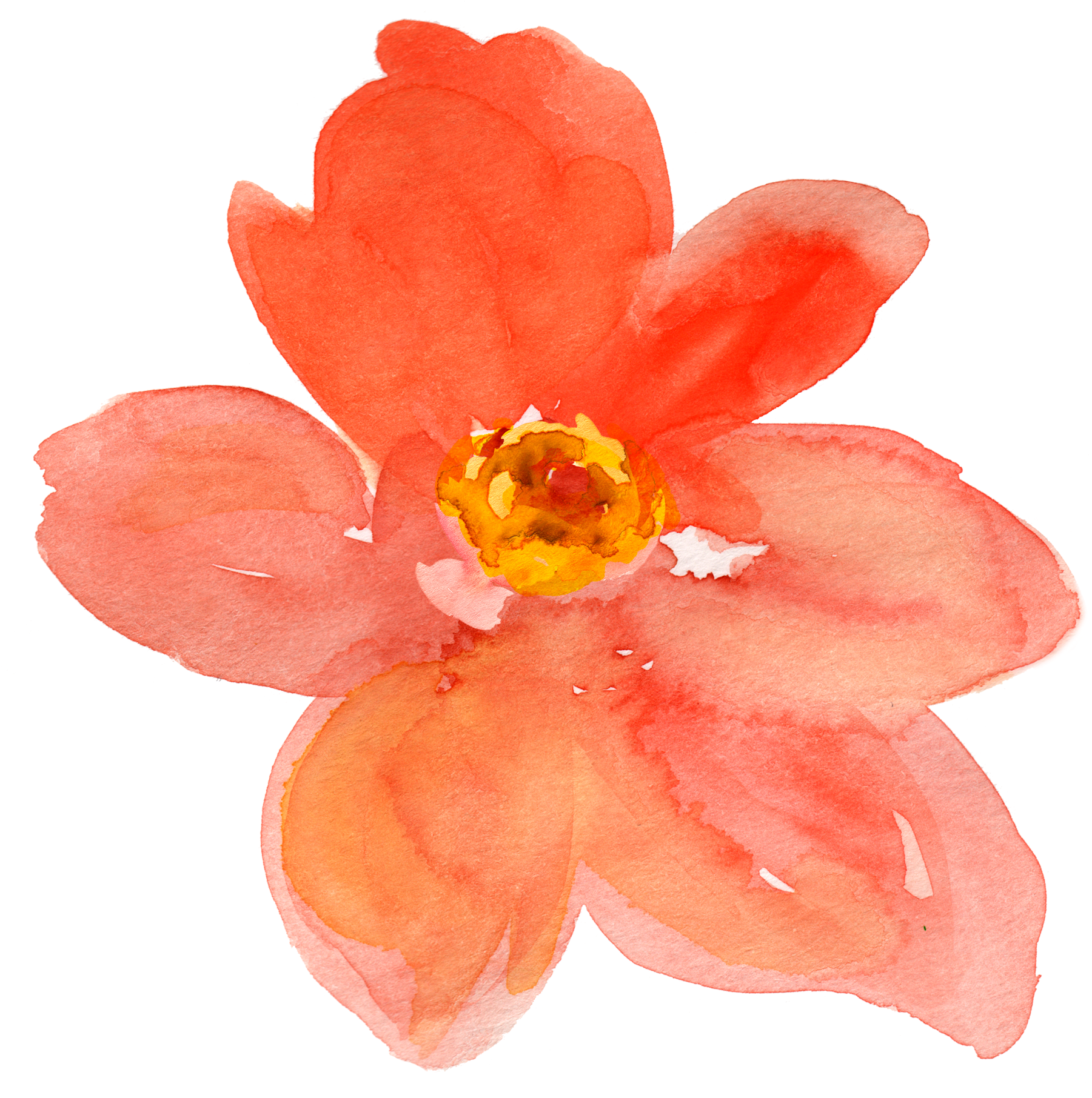 28 Collection Of Orange Watercolor Clipart - Transparent Flowers Watercolor Orange (1872x1811)