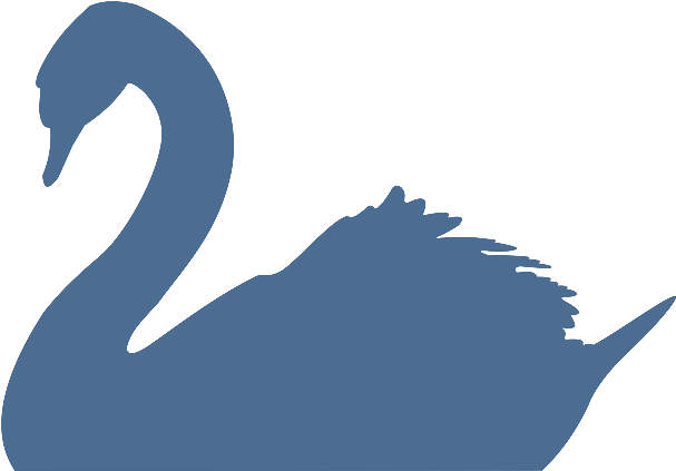 Upper Face » - Black Swan Drawing (639x638)