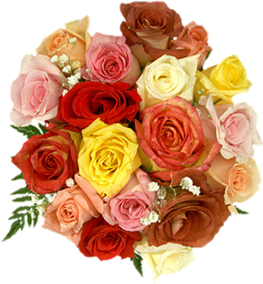 Flower Bouquet Garden Roses Birthday Clip Art - Flower Bouquet Garden Roses Birthday Clip Art (514x555)