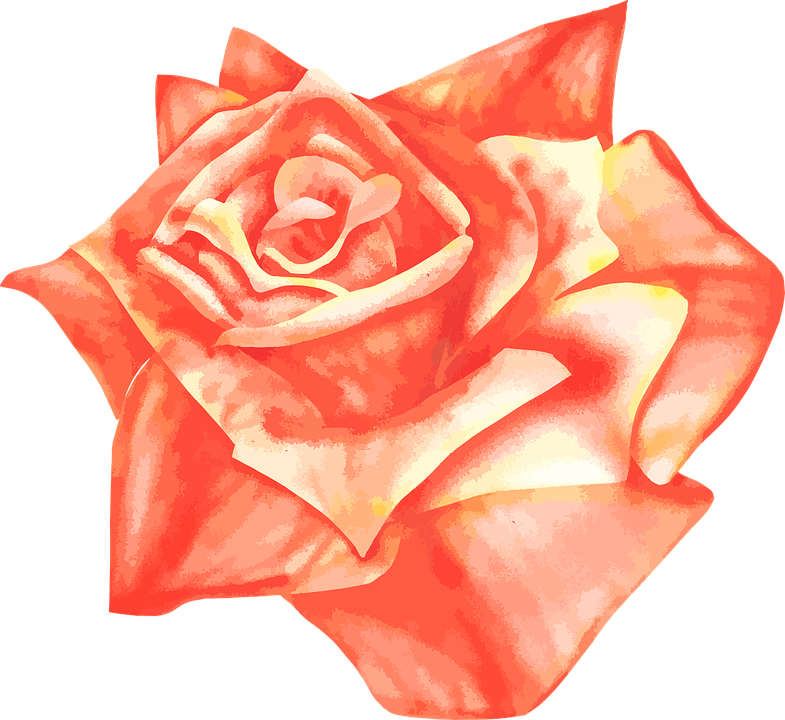 Gold Roses Cliparts 26, Buy Clip Art - Rosas Color Salmon Png (785x720)