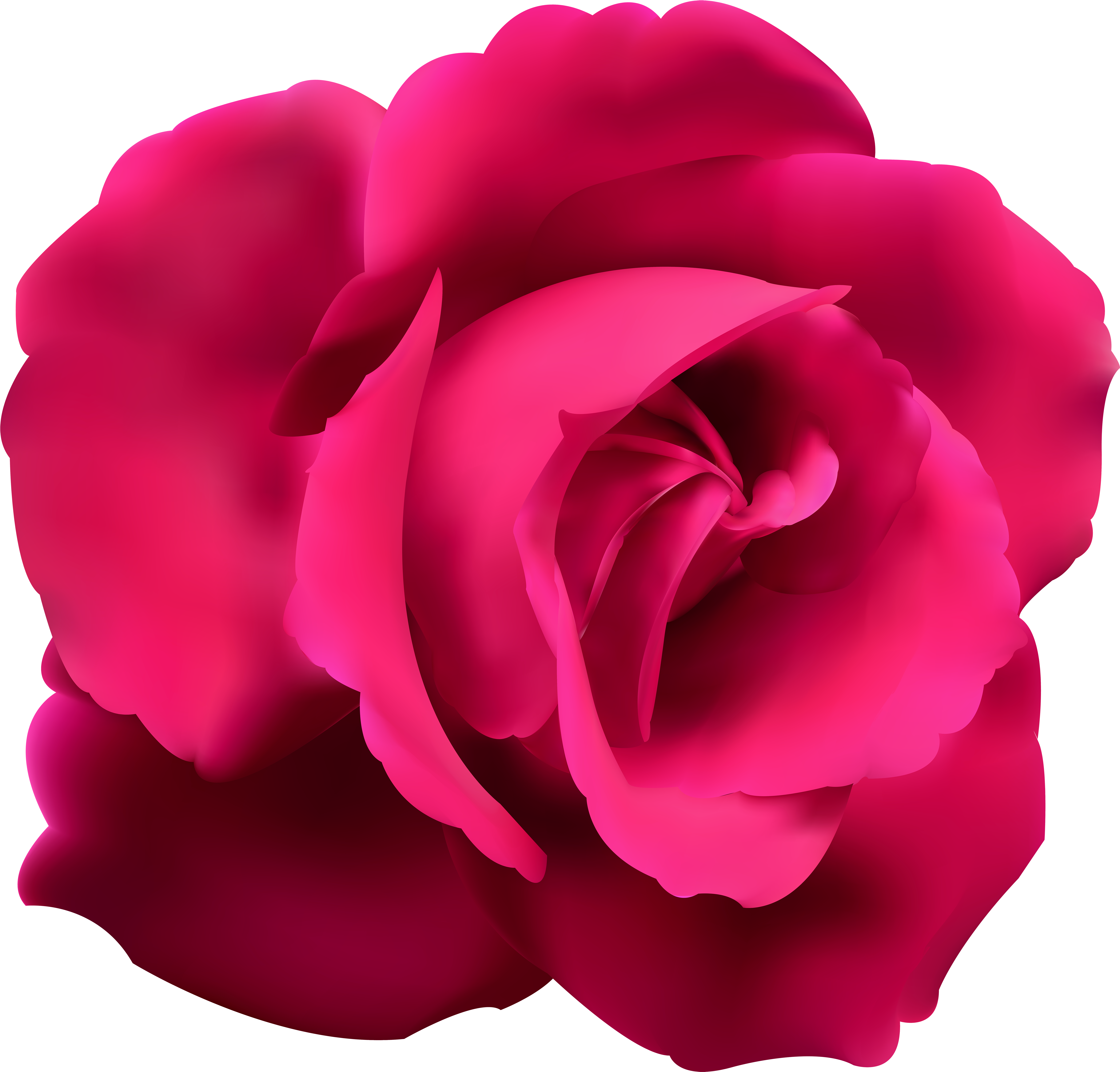 Pink Rose Clip Art - Blue Rose Transparent Background (6000x5741)