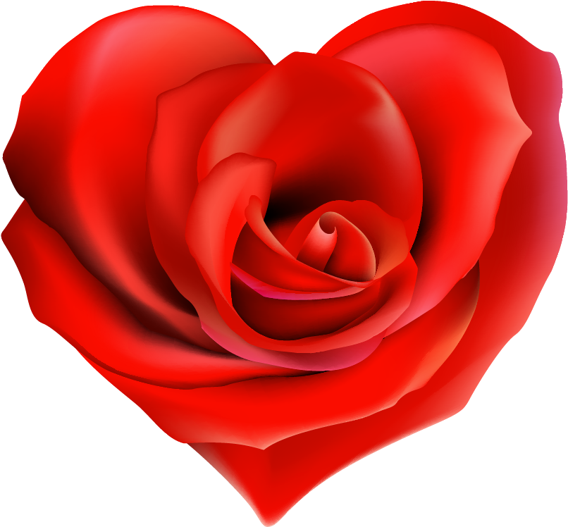 Transparent Rose Hearts Decor Png Clipart - Rose Heart (830x776)