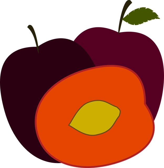Piel De Frutas Y Verduras - Ameixa Png (624x640)