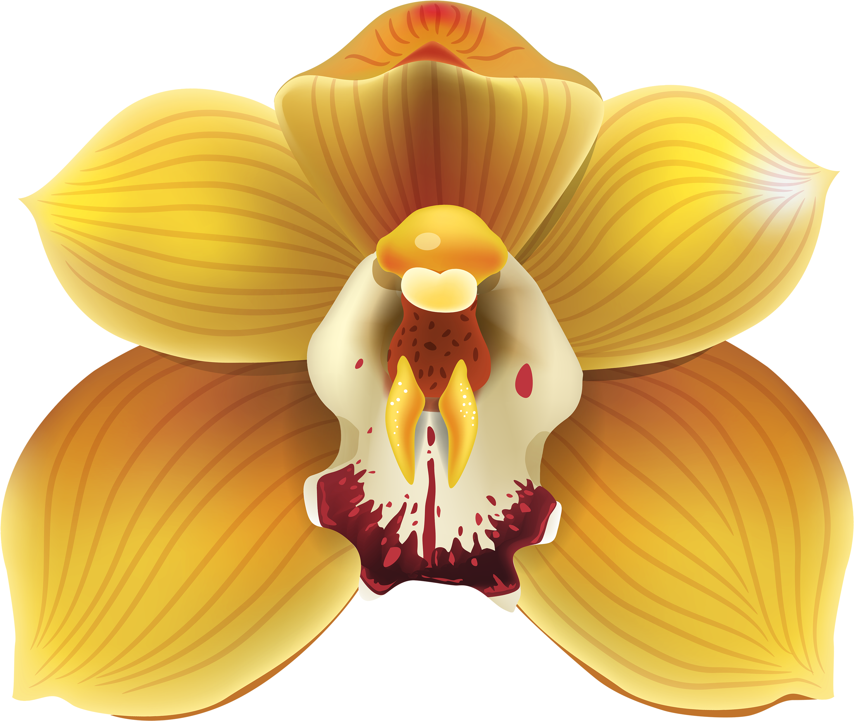 Yellow Orchid Png (3000x2560)