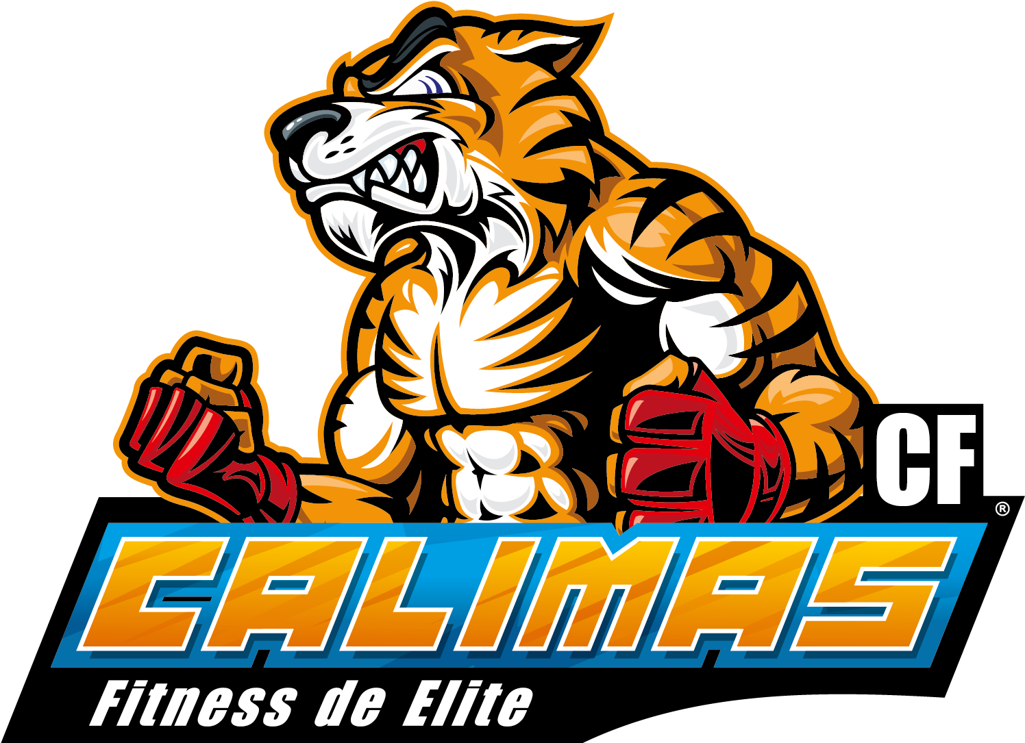 Calimas - Mma Fighting (1838x1128)