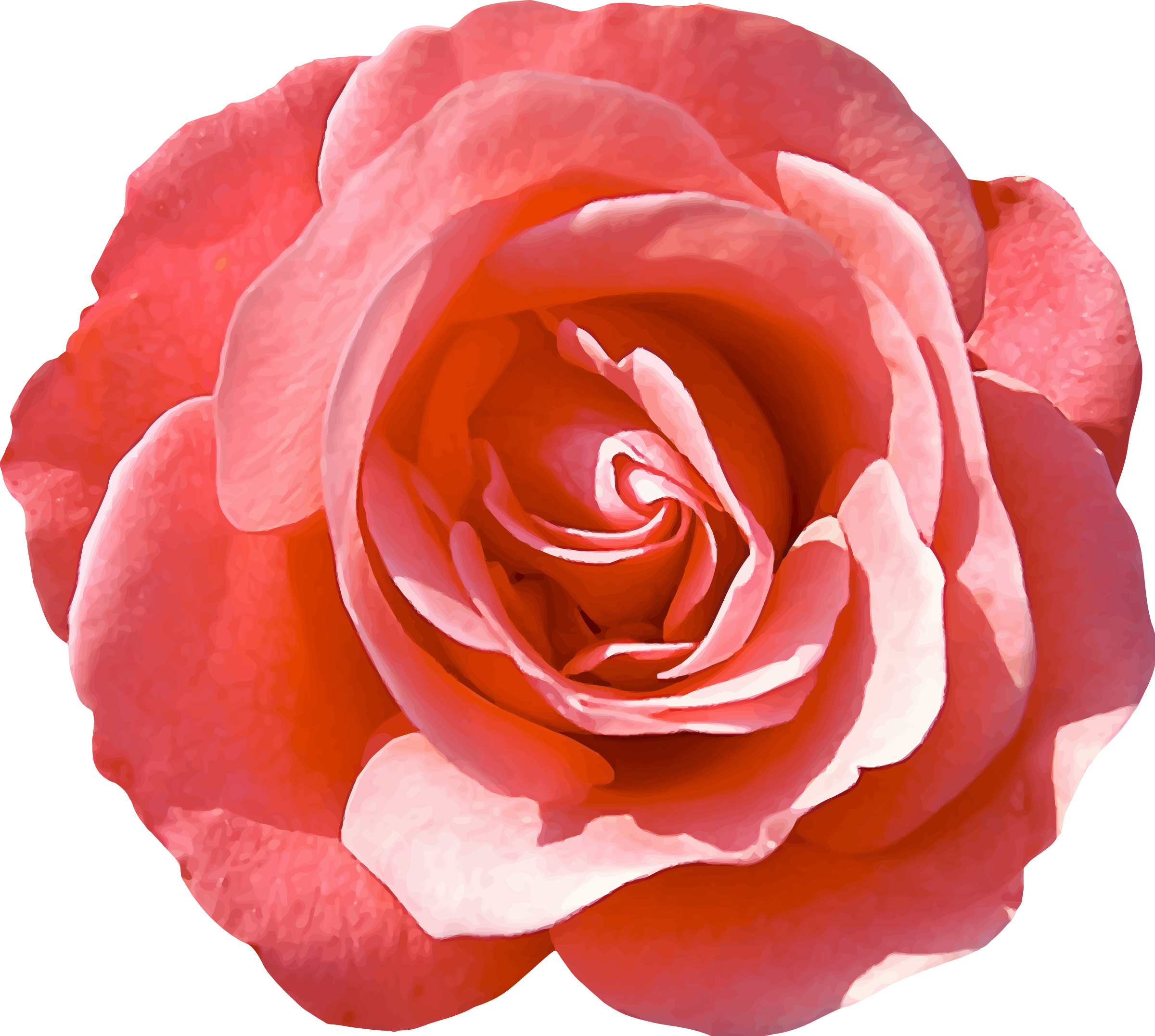 Rose 16 - Sisley Izia Eau De Parfum 50 Ml 50 Ml (2400x2152)