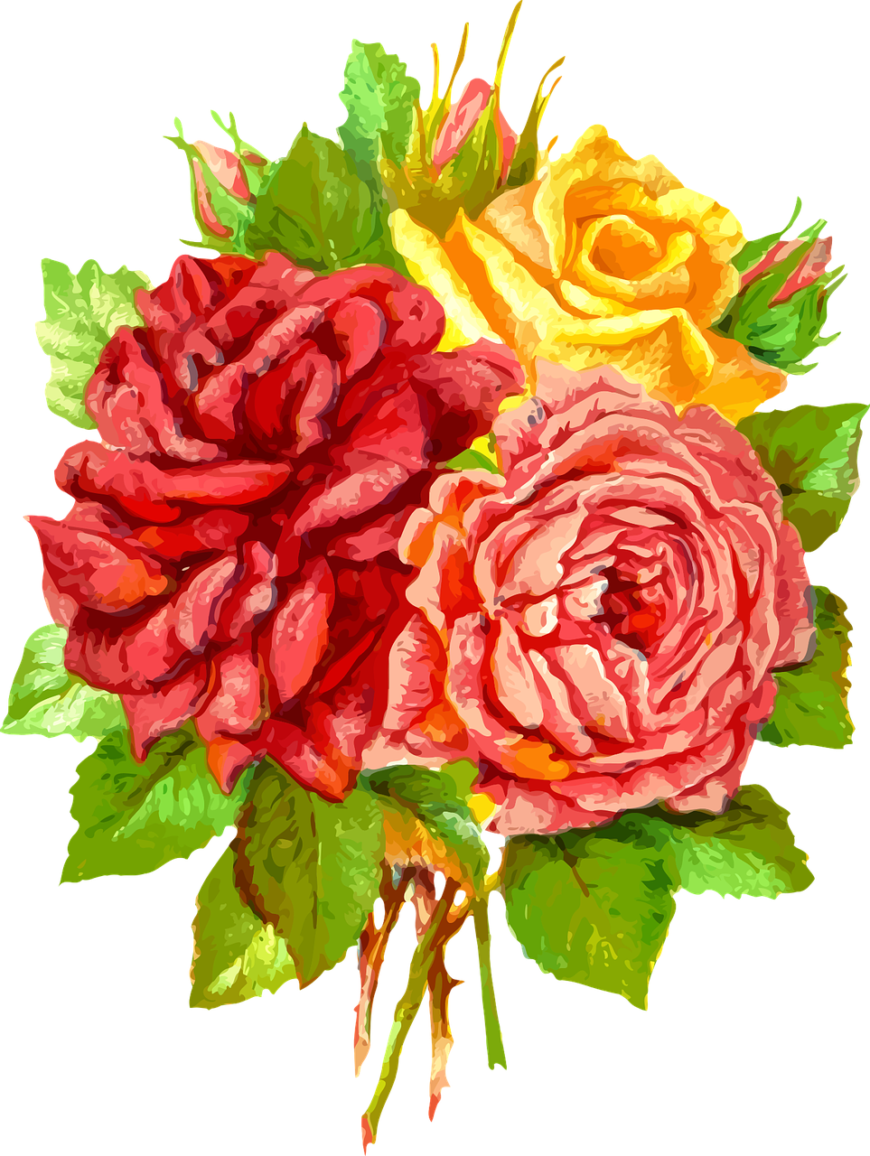 Vector Roses 19, Buy Clip Art - Blumennotecard - Sommer-rosen Karte (963x1280)