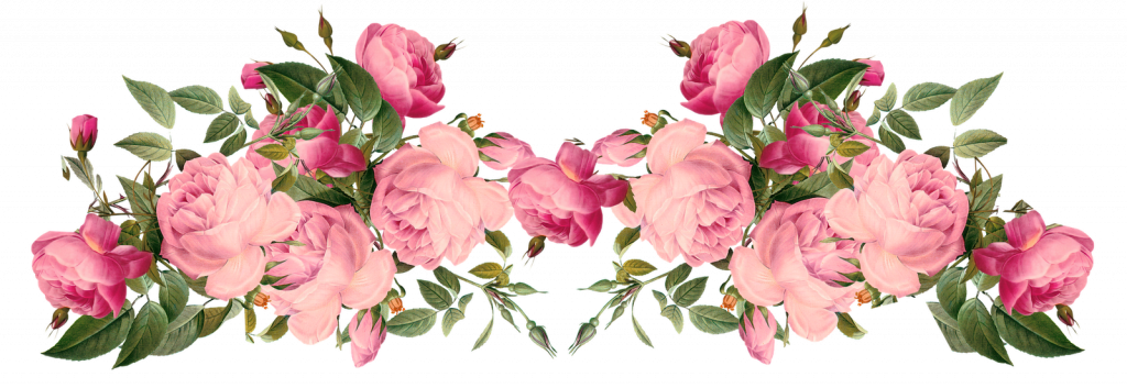 Download Cute Pink Rose Border Clip Art Free - Download Cute Pink Rose Border Clip Art Free (1024x353)