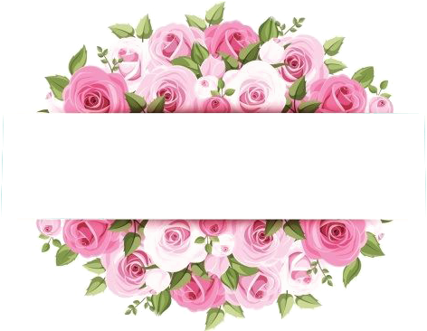 Rose Pink Flower Stock Photography - Flower Borders (510x510)
