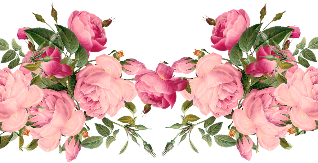 Download Cute Pink Rose Border Clip Art Free - Download Cute Pink Rose Border Clip Art Free (1024x551)