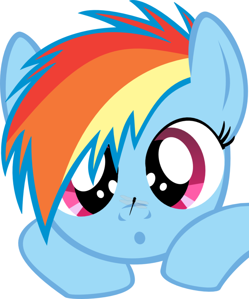 29711061 89e7 4cb7 B826 B02f3b147606 - Mlp Rainbow Dash Cute Filly (816x979)
