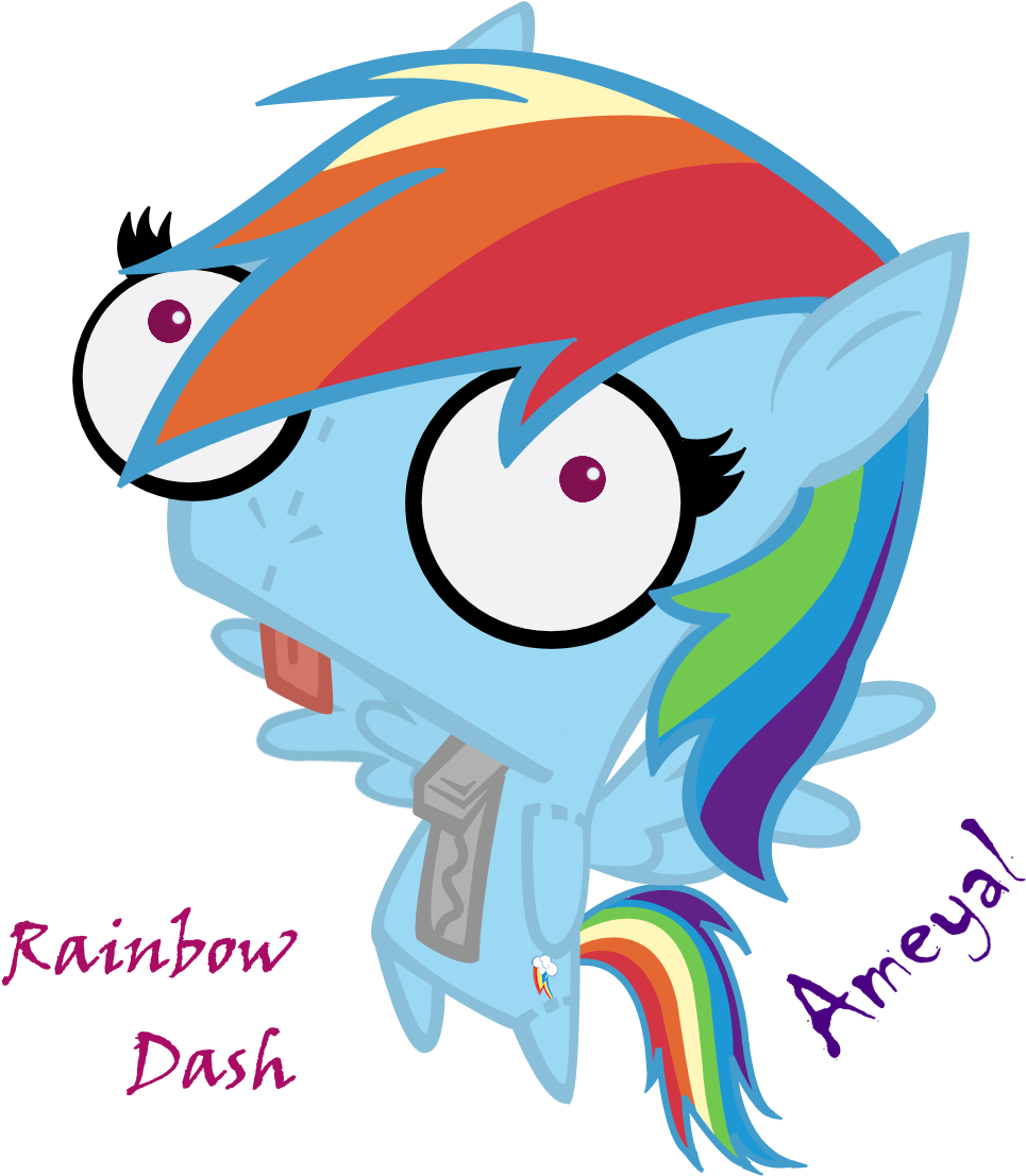 Gir Rainbow Dash By Ameyal - Gir My Little Pony (1056x1248)