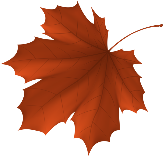 Autumn Leaf Color Maple Leaf - Autumn Leaf Color Maple Leaf (699x676)