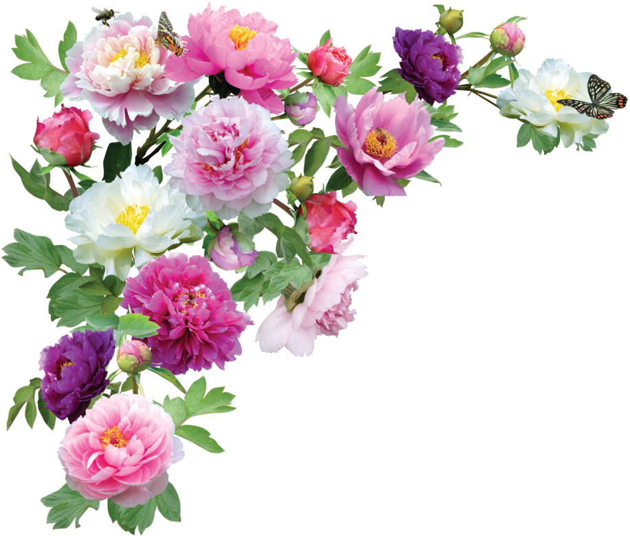 Elements From Jaguarwoman For Personal Use Only - Flower Images Hd Png (947x844)