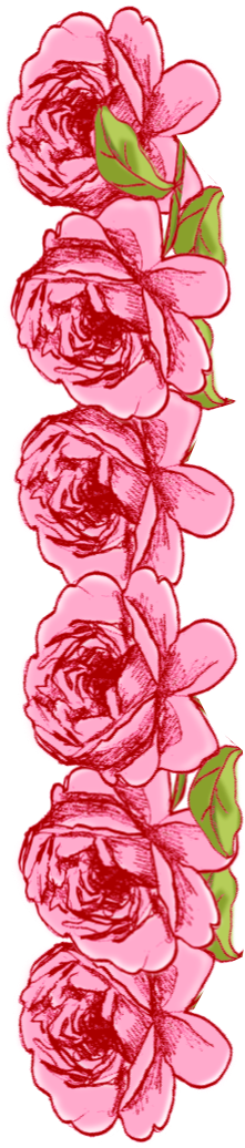 Free Faux Vintage Roses Frame And Borders Png Rosenrahmen - Portable Network Graphics (313x1141)