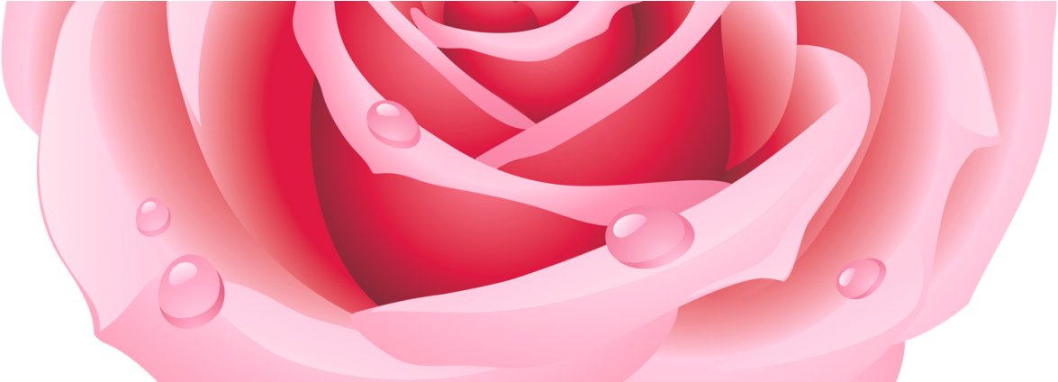 Gloria June Hewat - Imagens De Coração Com Rosa (1210x423)