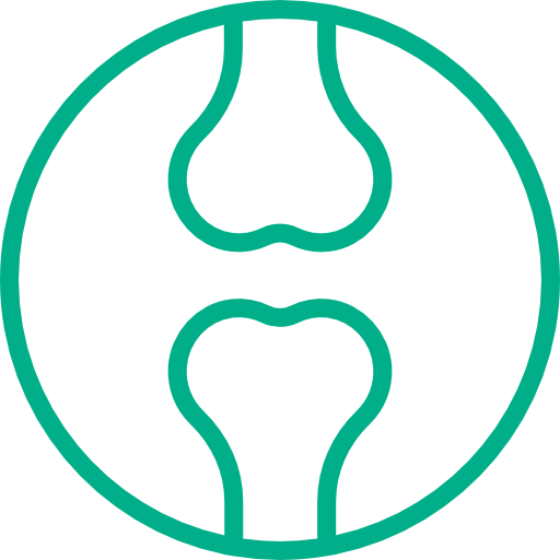 Bone, Joint & Muscle Care - Scalable Vector Graphics (512x512)