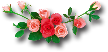 Decoration Rose Flower Png - Rose (524x304)