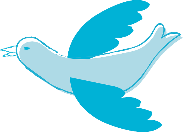 Peace Pidgeon, Animal, Bird, Blue, Peace - Blue Bird Shower Curtain (640x463)