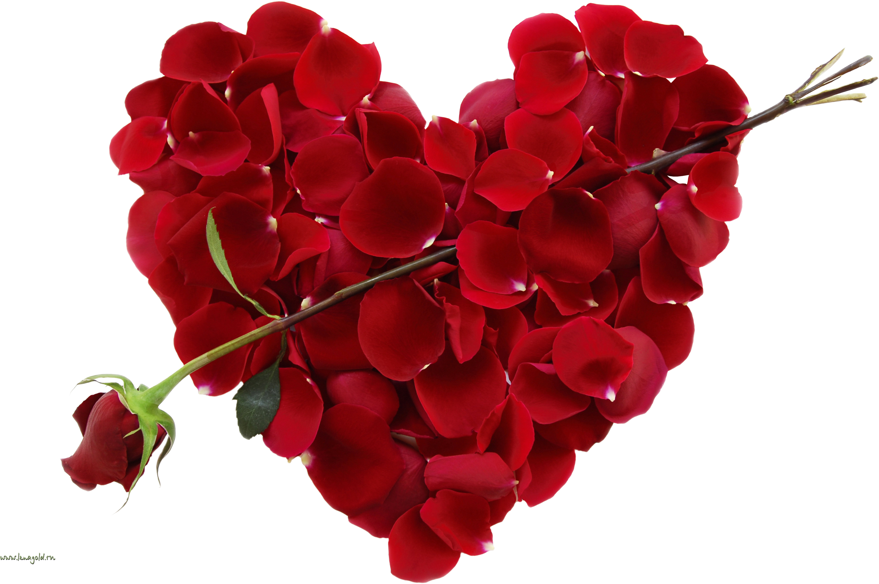 Jacquees / Ms. Kathy (make Up) (3554x2238)