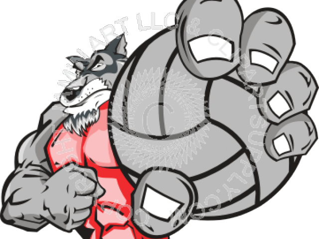 Volleyball Clipart Wolf - Eagle Basketball (640x480)