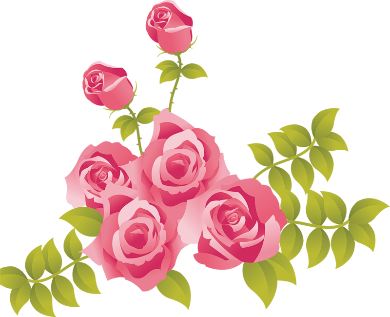 Related Clip Art - Garden Roses (800x650)