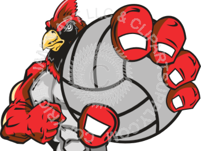 Cardinal Clipart Volleyball - Wtvb (640x480)