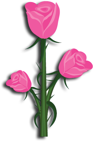 Alpha Gamma Rho Flower Pink Rose - Rose (600x600)