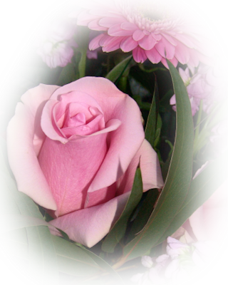 Pink-rosebud - Garden Roses (320x400)