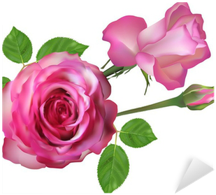 Two Isolated Light Pink Roses And Bud Sticker • Pixers® - Rose (400x400)