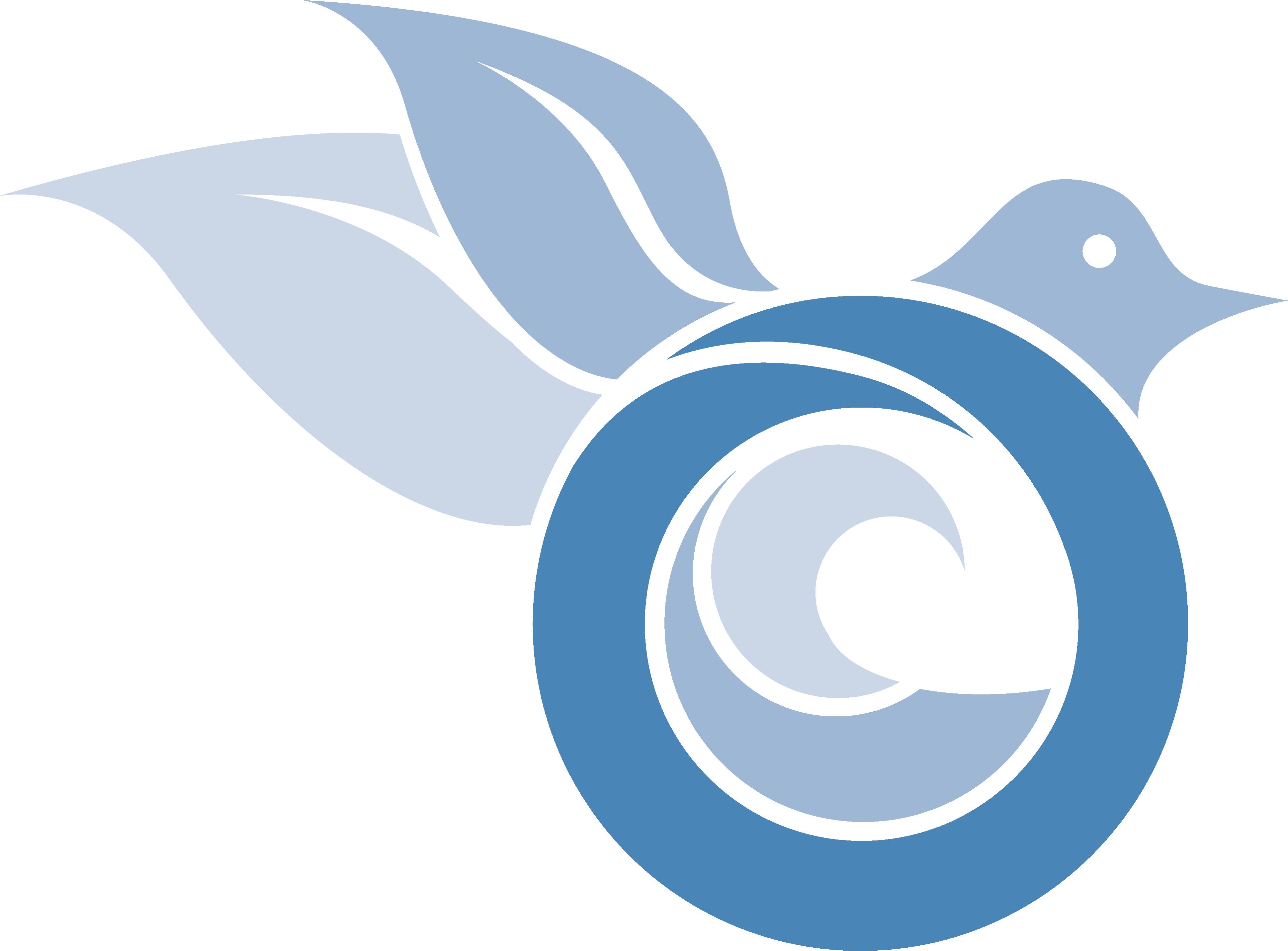 Society For Conservation Biology (3878x2923)