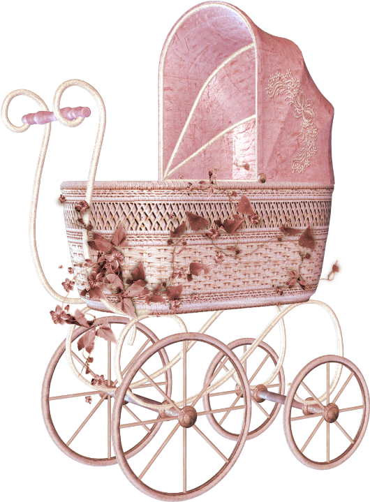 Baby Transport Child Cart - Baby Transport Child Cart (675x800)