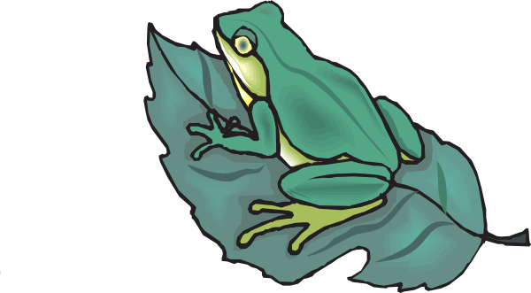Leaf Frog Cartoons - Frog Is On The Leaf (600x331)