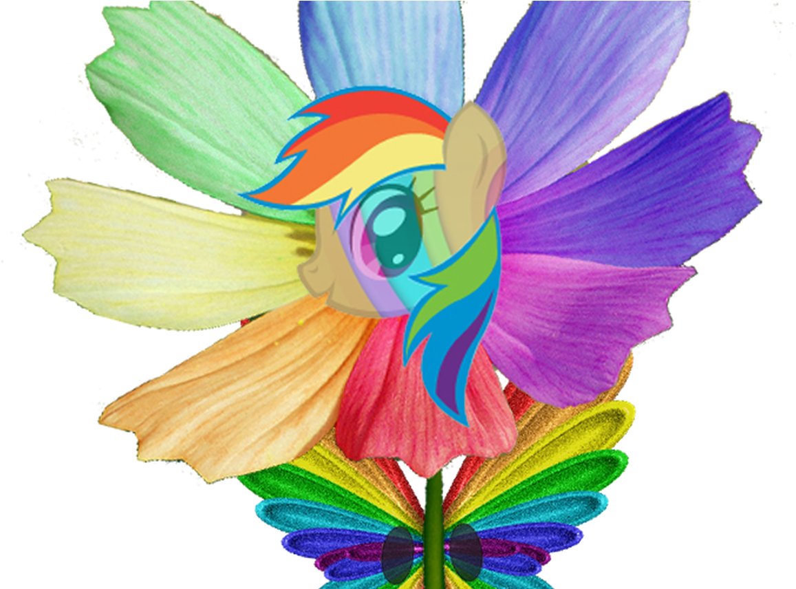 Download and share clipart about Happy Rainbow Butterfly Pony Flowers Elect...
