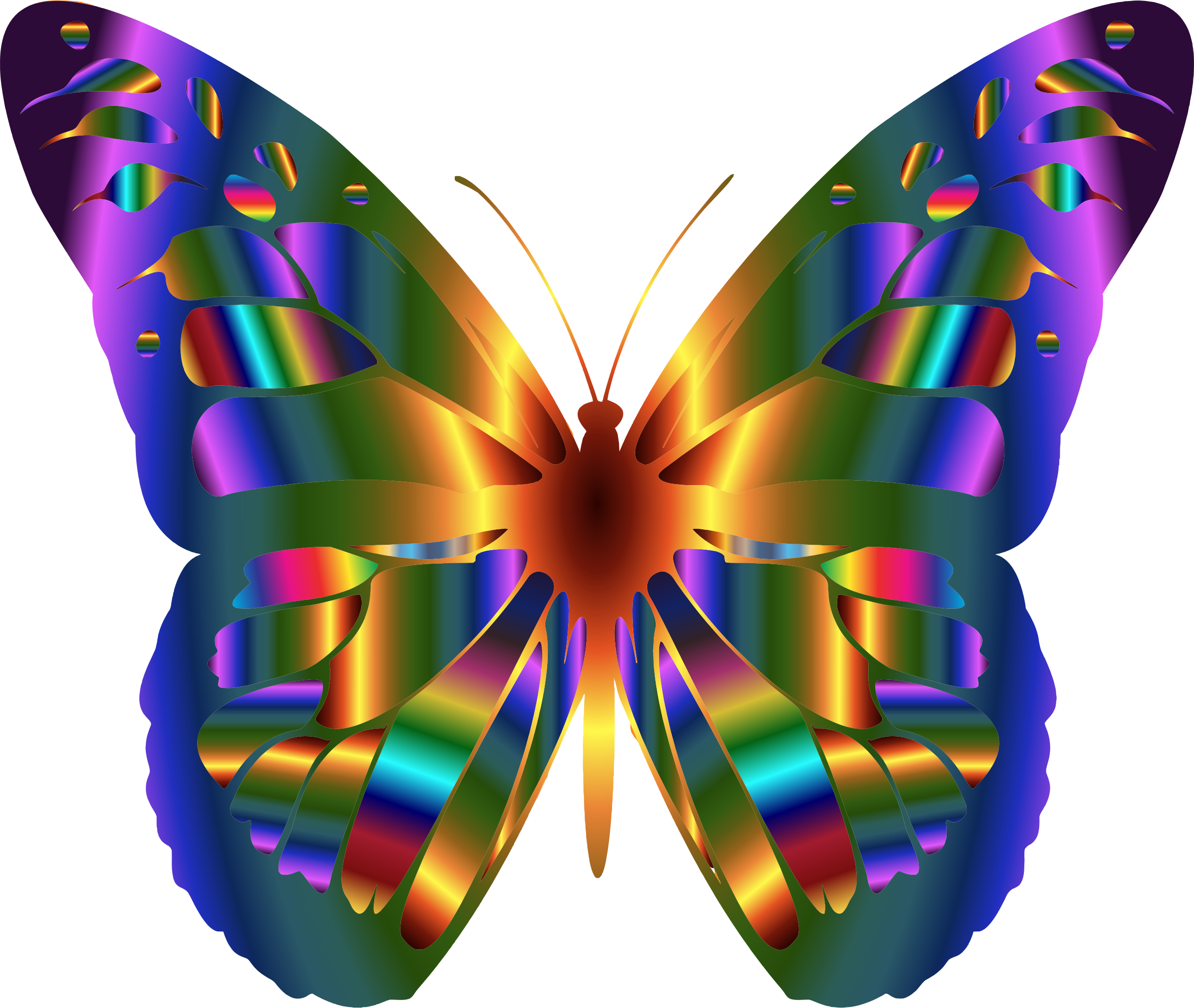Iridescent Monarch Butterfly 2 By @gdj, A Colorful - Real Rainbow Monarch Butterfly (2400x2028)