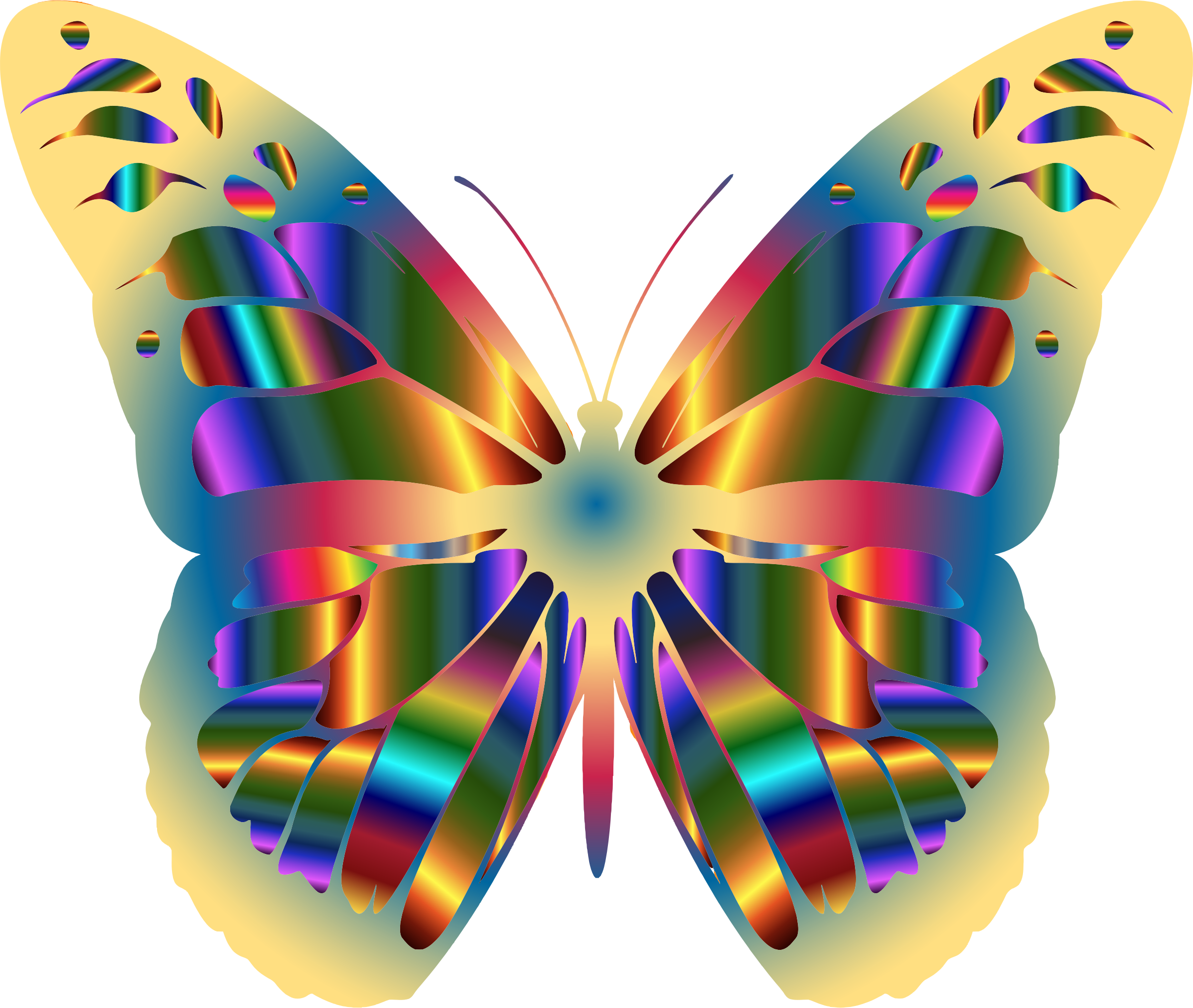 Rainbow Butterfly Clipart Bird - Iridescent Monarch Butterfly 15 Totes (2400x2028)