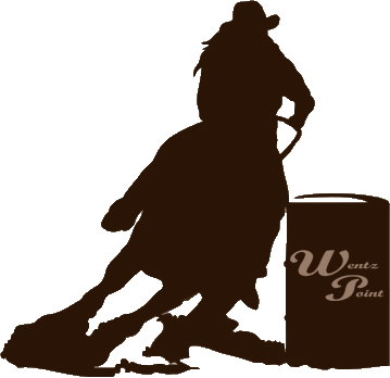 Kitchen Will Be - Horse Barrel Racing Silhouette (359x348)