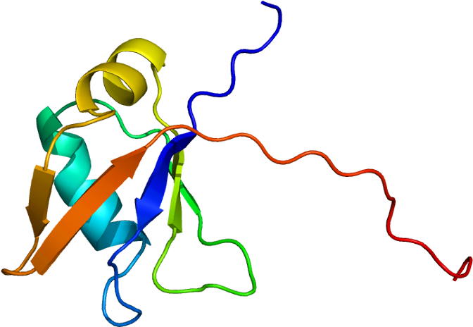 By Emw [cc By-sa - Tar Dna Binding Protein (721x513)