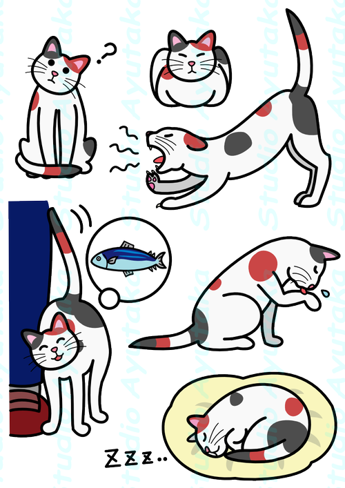 Cat Expressions Png - Vector Graphics (500x707)