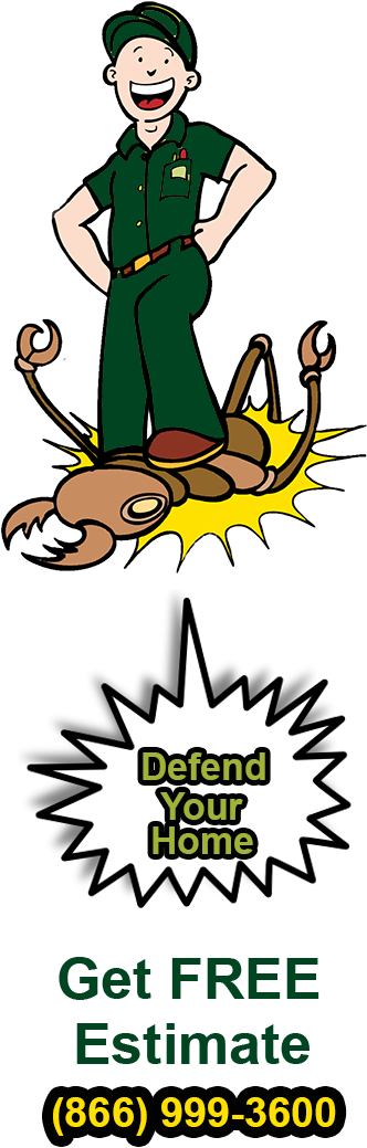 Caption With Bottom Position - Star Burst Clip Art (338x1059)