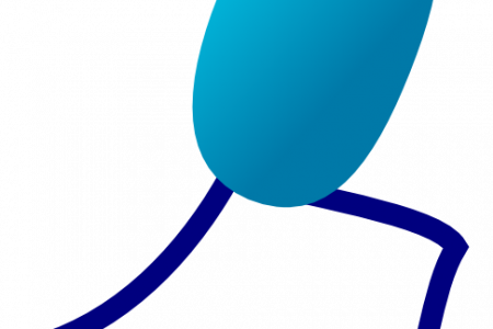 Legz Clipart Vector - Stick Figure Legs Running (450x300)