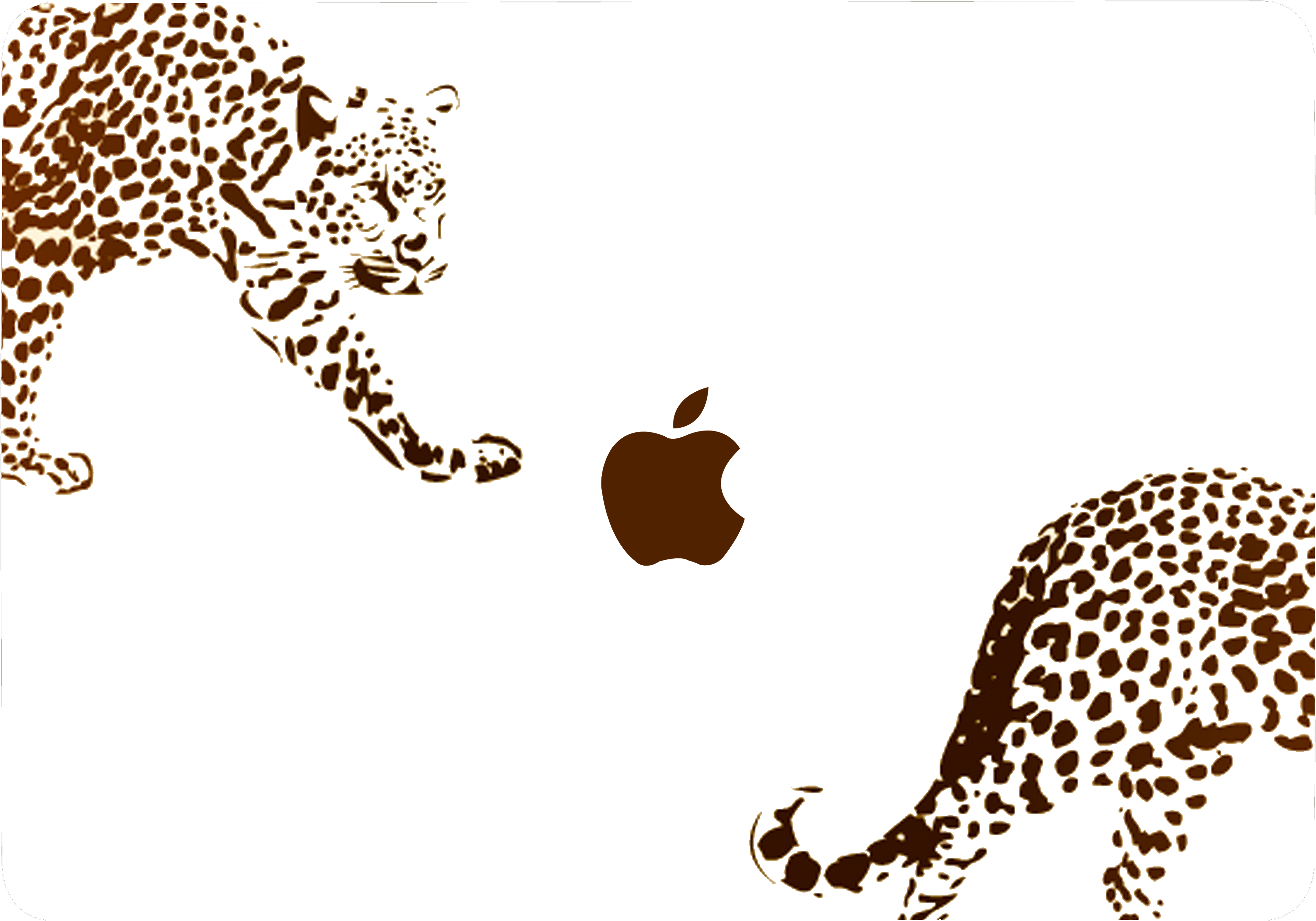 Jaguar Vs Leopard Cheetah Animal Print Chart People - Guepardo Para Pintar (3958x2969)