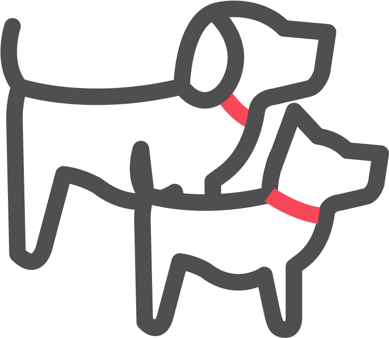 All Breeds & Budgets, Dogs Stay Free - English Foxhound (833x833)