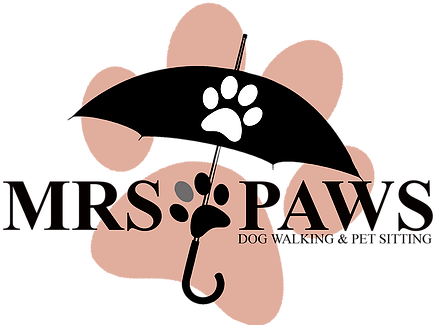 Paws Christmas Kitty & Jug - Teacher (444x324)