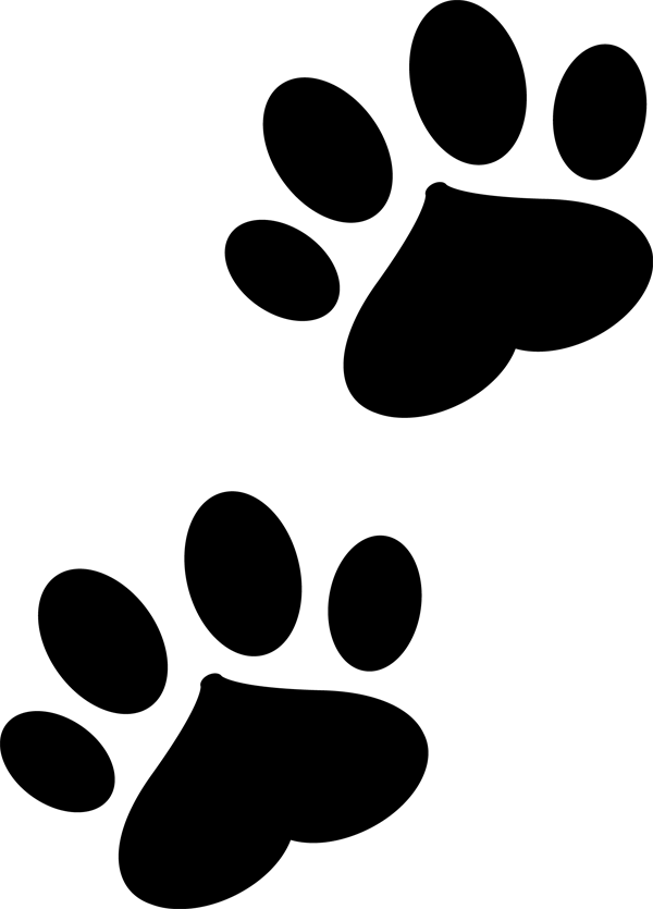 Pet Feeding - Pet Feeding (600x835)