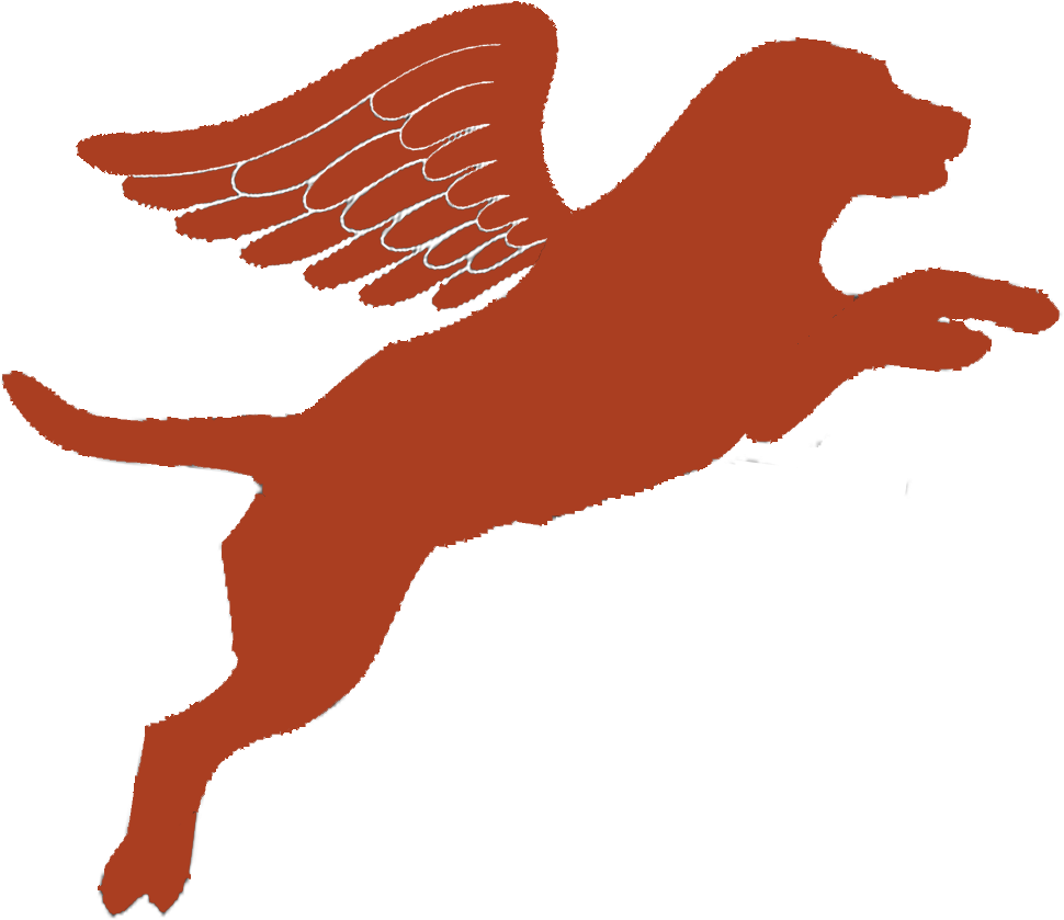 Example Shown In A 4” Width X 18” Length For Display - Kite (1006x871)