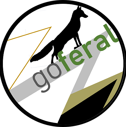 Obstacle Racing (870x874)